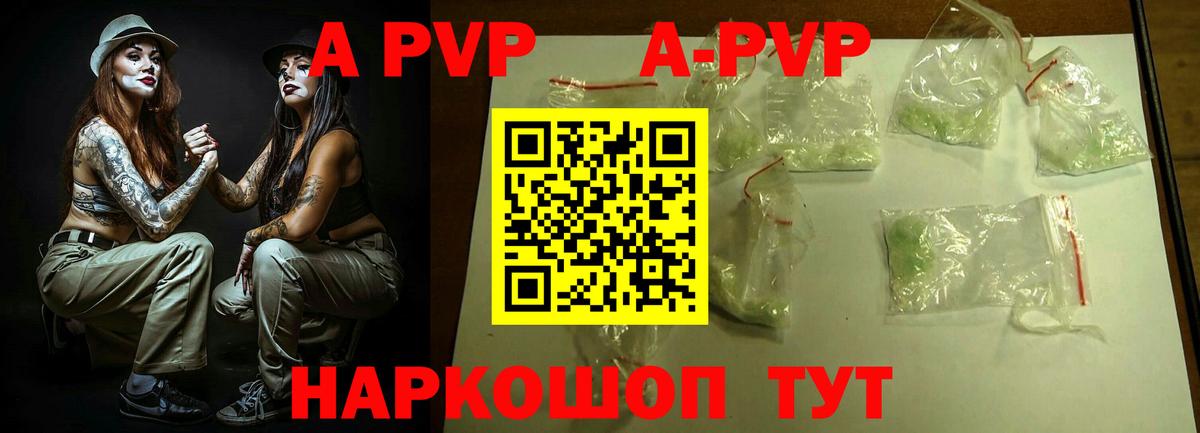 A PVP СК КРИС Тверь