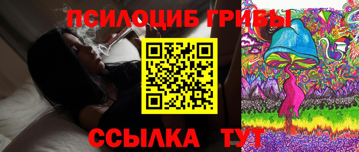 Псилоцибиновые грибы MAGIC MUSHROOMS  Вход с VPN  Тверь 